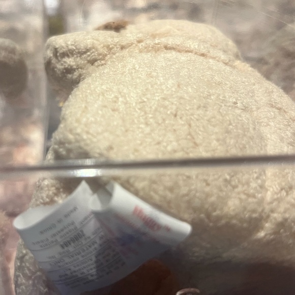 TY Beanie Baby Bears - Picture 3 of 3